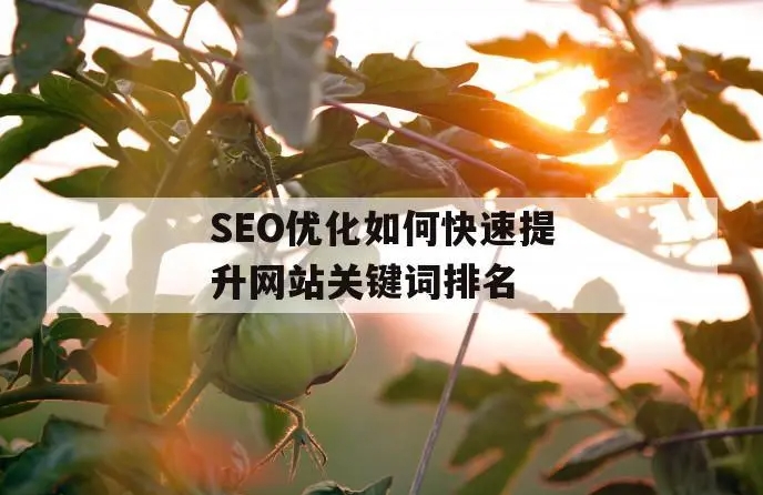 網站快速收錄的5個方法,網站快速收錄的注意事項